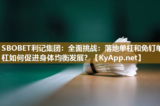 SBOBET利记集团：全面挑战：落地单杠和免钉单杠如何促进身体均衡发展？