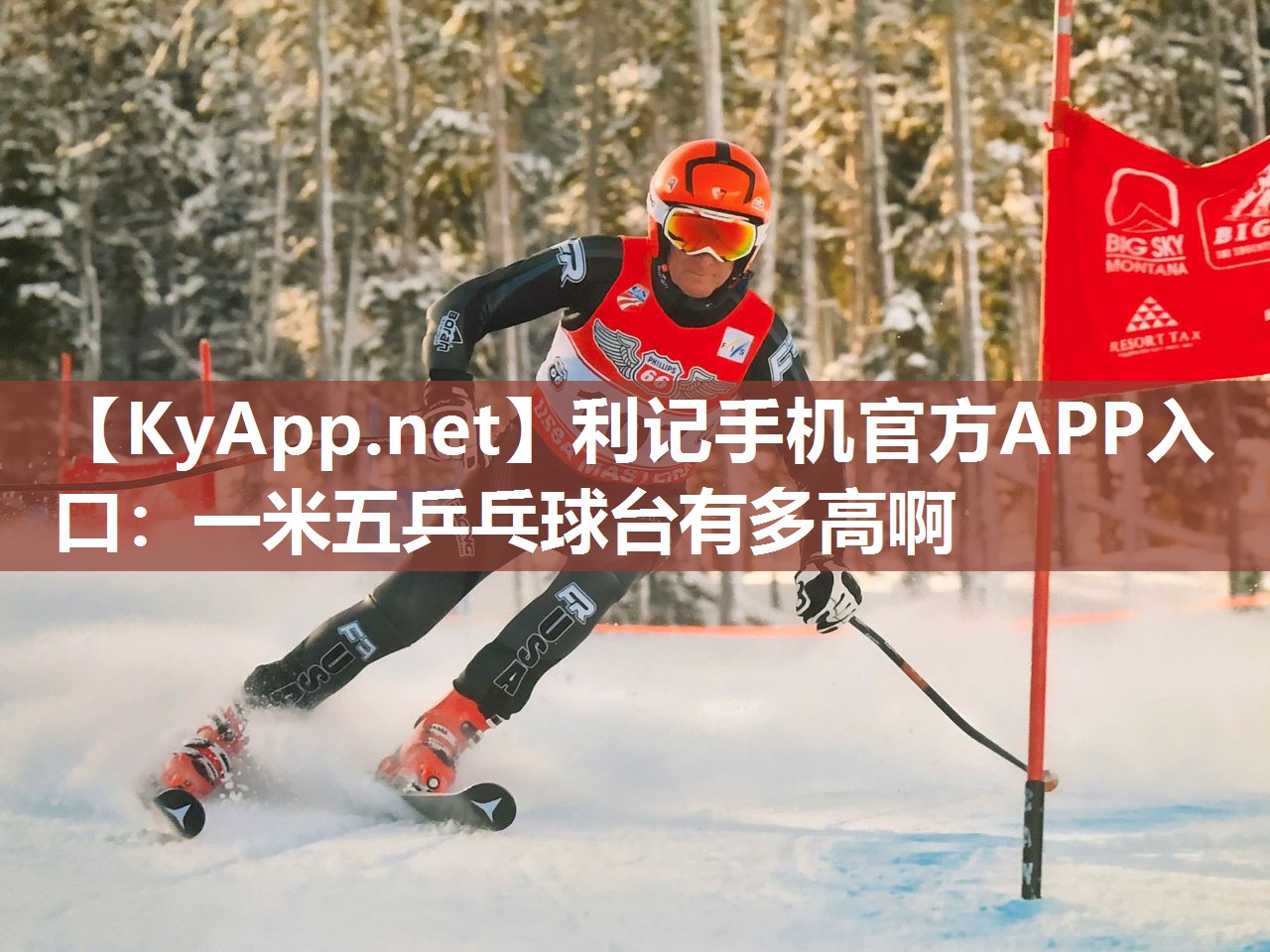 利记手机官方APP入口：一米五乒乓球台有多高啊