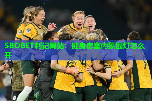 SBOBET利记网站：健身房室内氛围灯怎么开