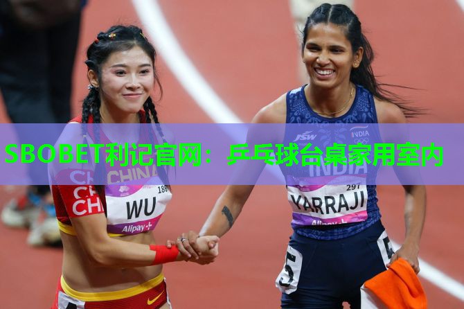 SBOBET利记官网：乒乓球台桌家用室内