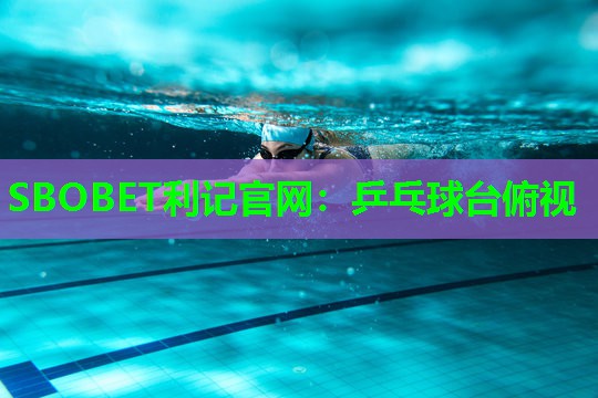 SBOBET利记官网：乒乓球台俯视