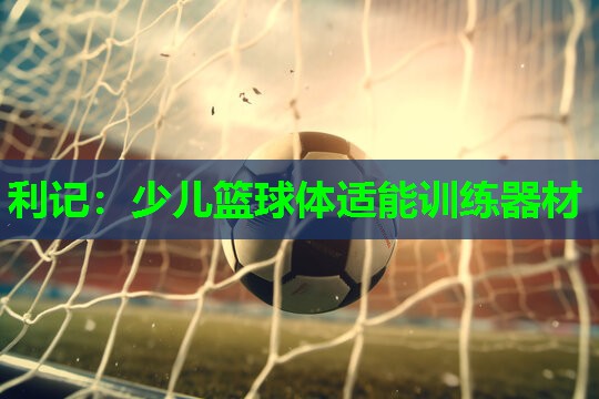 利记：少儿篮球体适能训练器材