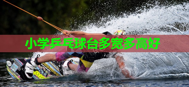 小学乒乓球台多宽多高好