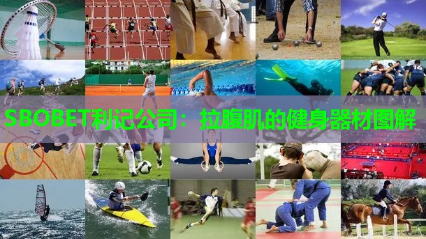 SBOBET利记公司：拉腹肌的健身器材图解