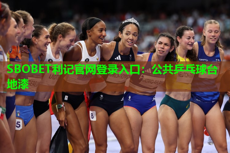SBOBET利记官网登录入口：公共乒乓球台地漆