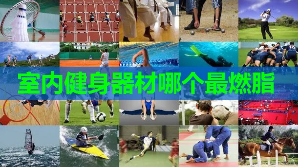 室内健身器材哪个最燃脂