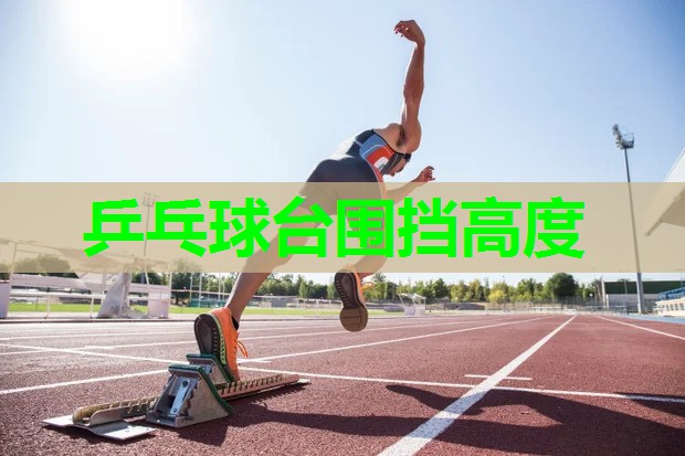 乒乓球台围挡高度