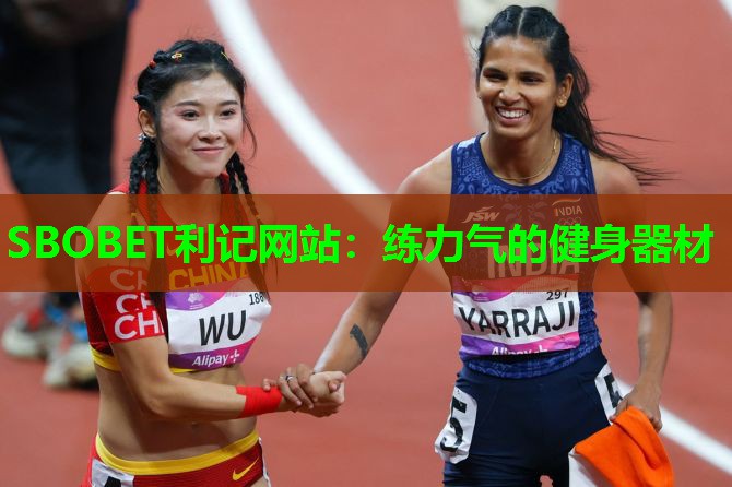 SBOBET利记网站：练力气的健身器材