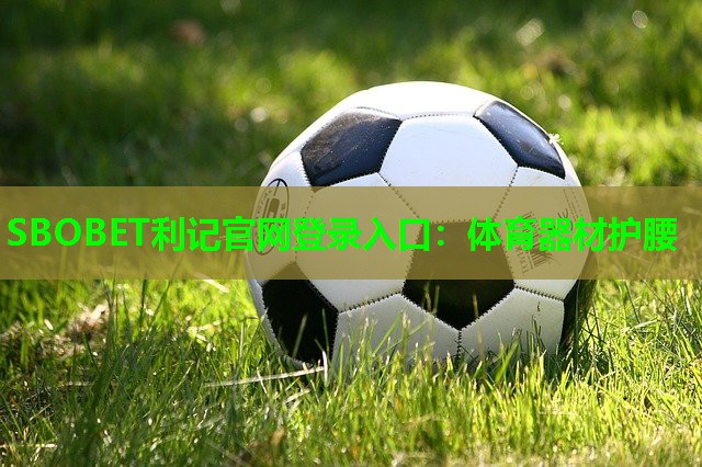 SBOBET利记官网登录入口：体育器材护腰
