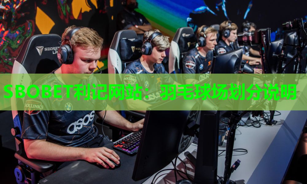 SBOBET利记网站：羽毛球场划分说明