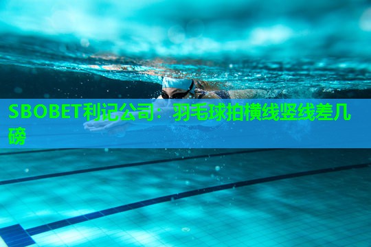 SBOBET利记公司：羽毛球拍横线竖线差几磅