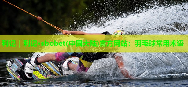 利记｜利记·sbobet(中国大陆)官方网站：羽毛球常用术语