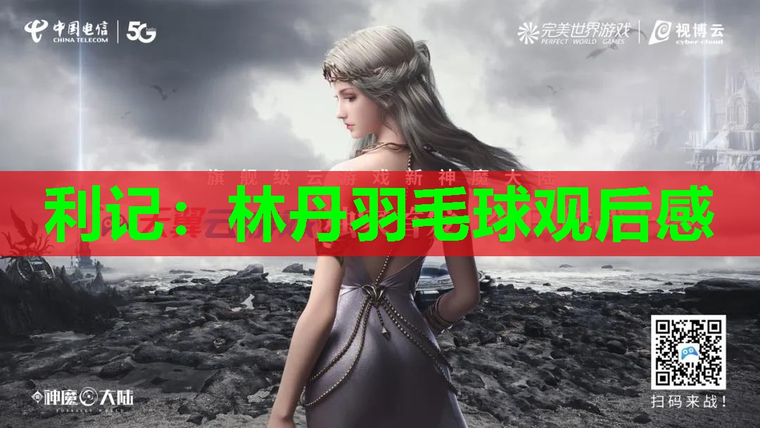 利记：林丹羽毛球观后感