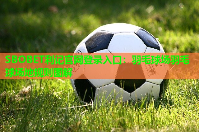 SBOBET利记官网登录入口：羽毛球场羽毛球场地规则图解