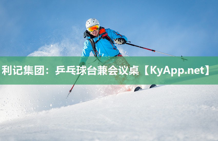 乒乓球台兼会议桌 乒乓球台兼会议桌