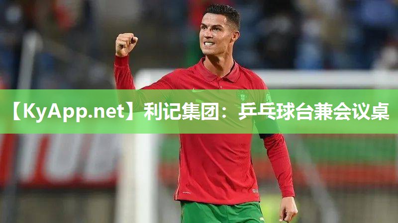 乒乓球台兼会议桌 乒乓球台兼会议桌