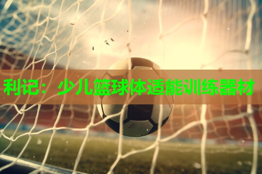 少儿篮球体适能训练器材 少儿篮球体适能训练器材