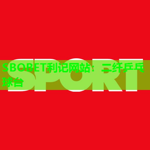 二纤乒乓球台 二纤乒乓球台