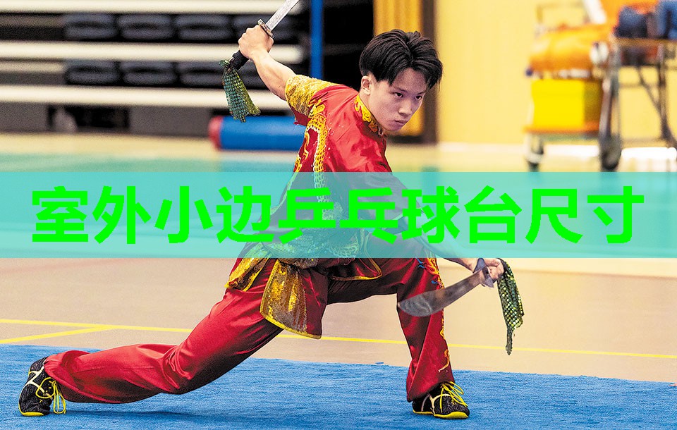 室外小边乒乓球台尺寸 室外小边乒乓球台尺寸