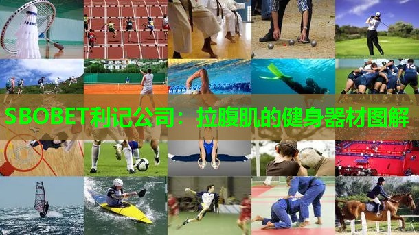 拉腹肌的健身器材图解 拉腹肌的健身器材图解