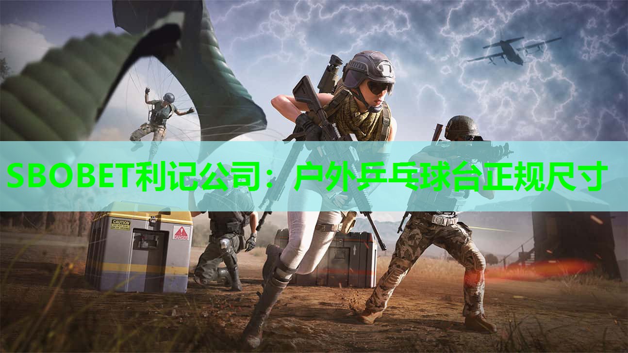 户外乒乓球台正规尺寸 户外乒乓球台正规尺寸