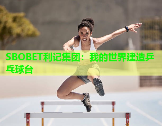 我的世界建造乒乓球台 我的世界建造乒乓球台
