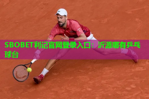 沂源哪有乒乓球台 沂源哪有乒乓球台