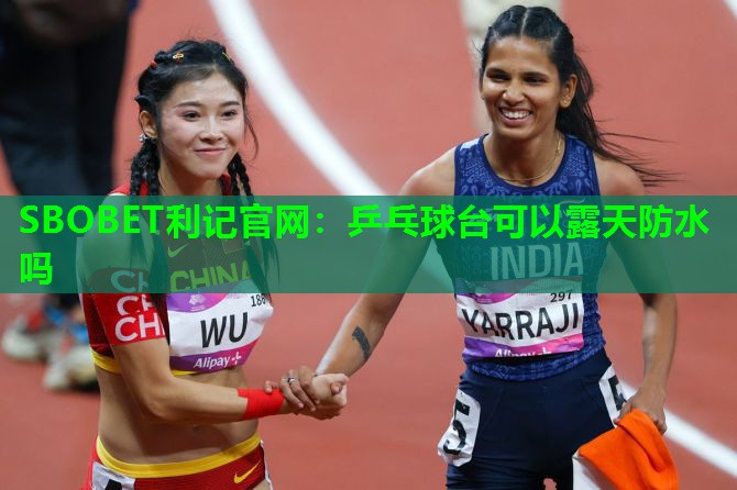 乒乓球台可以露天防水吗 乒乓球台可以露天防水吗