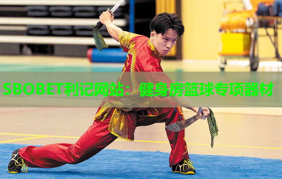 健身房篮球专项器材 健身房篮球专项器材