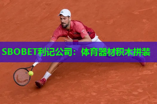 体育器材积木拼装 体育器材积木拼装