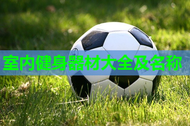 室内健身器材大全及名称 室内健身器材大全及名称