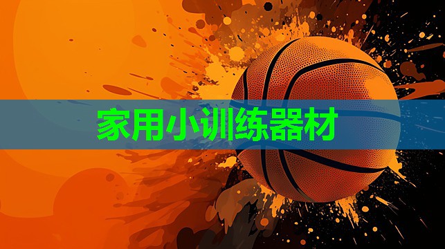 家用小训练器材 家用小训练器材