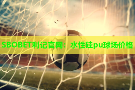 水性硅pu球场价格 水性硅pu球场价格