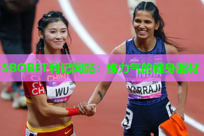 练力气的健身器材 练力气的健身器材