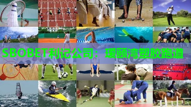 瑷颐湾塑胶跑道 瑷颐湾塑胶跑道