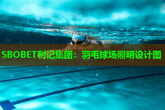 羽毛球场照明设计图 羽毛球场照明设计图