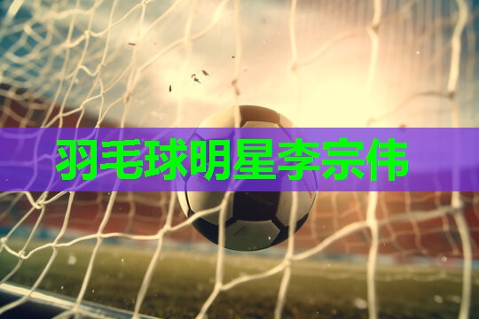 羽毛球明星李宗伟 羽毛球明星李宗伟