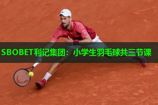 小学生羽毛球共三节课 小学生羽毛球共三节课