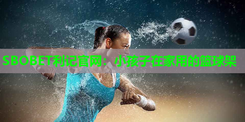 小孩子在家用的篮球架 小孩子在家用的篮球架