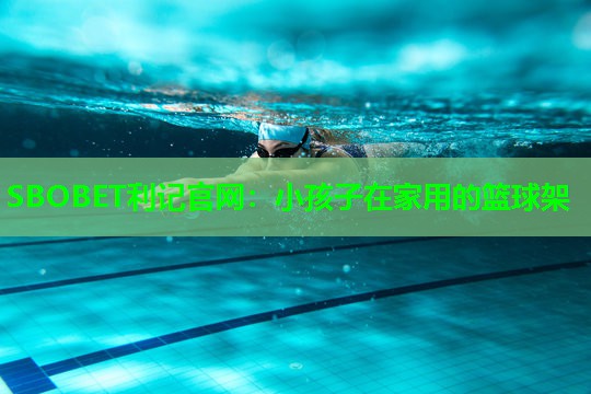 小孩子在家用的篮球架 小孩子在家用的篮球架