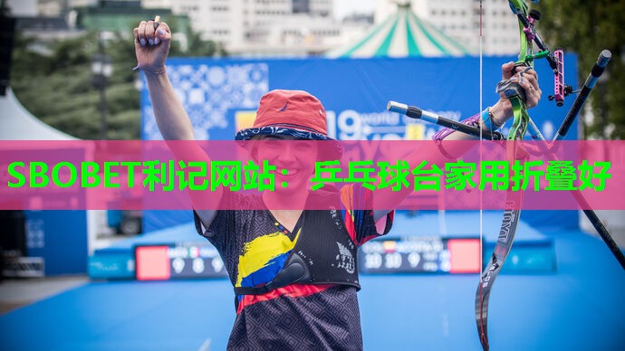 乒乓球台家用折叠好 乒乓球台家用折叠好
