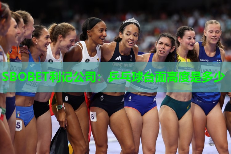乒乓球台面高度是多少 乒乓球台面高度是多少