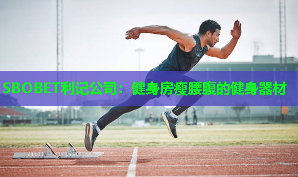 健身房瘦腰腹的健身器材 健身房瘦腰腹的健身器材