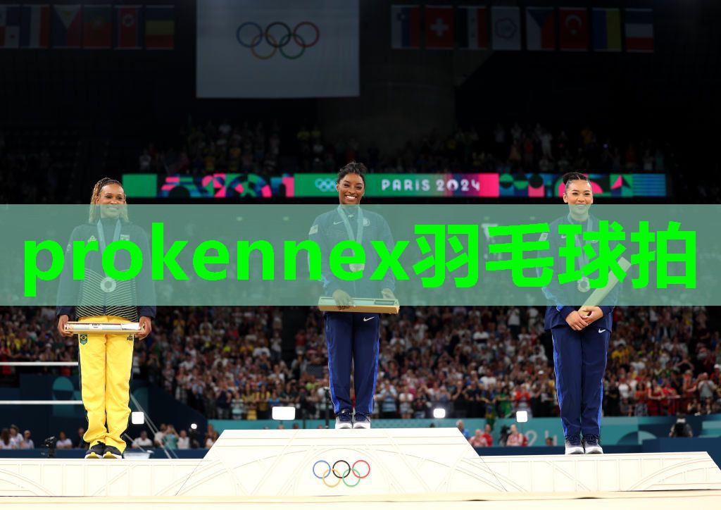 prokennex羽毛球拍 prokennex羽毛球拍