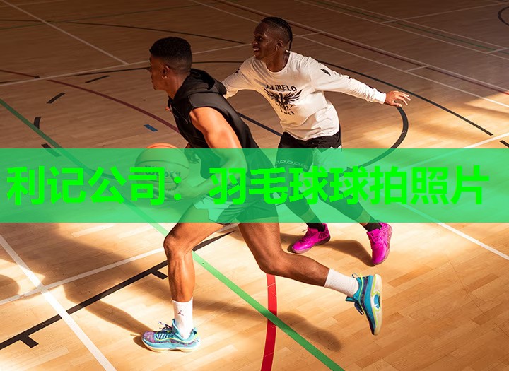 羽毛球球拍照片 羽毛球球拍照片