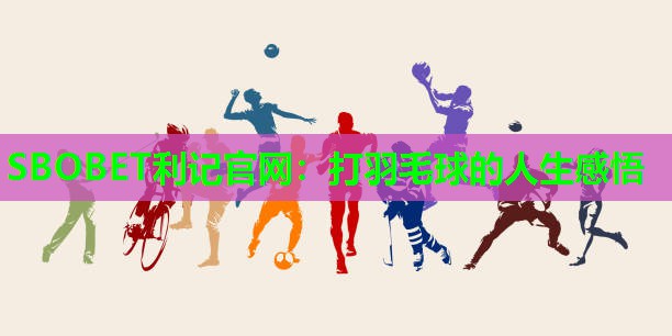 打羽毛球的人生感悟 打羽毛球的人生感悟