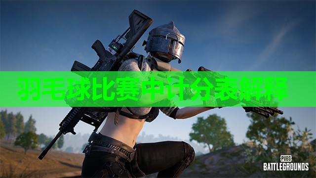 羽毛球比赛中计分表解释 羽毛球比赛中计分表解释