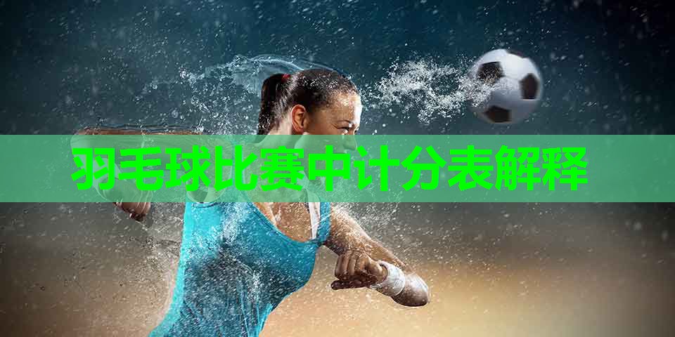 羽毛球比赛中计分表解释 羽毛球比赛中计分表解释