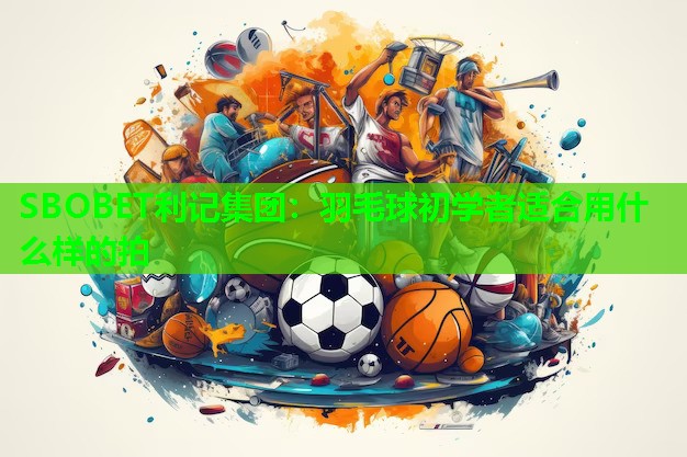 羽毛球初学者适合用什么样的拍 羽毛球初学者适合用什么样的拍