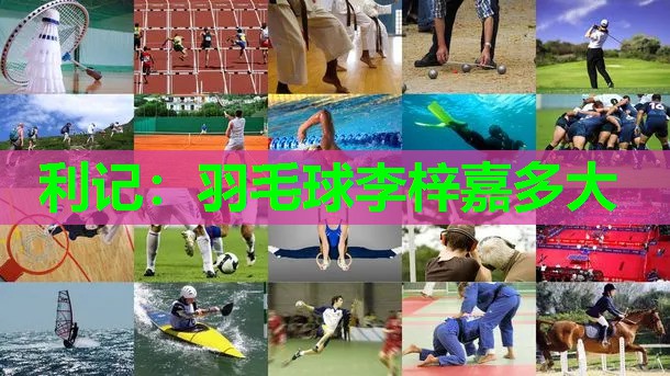 羽毛球李梓嘉多大